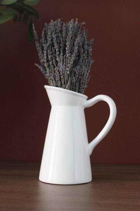 Lavandula Ring Tirana Exteriér fotografie
