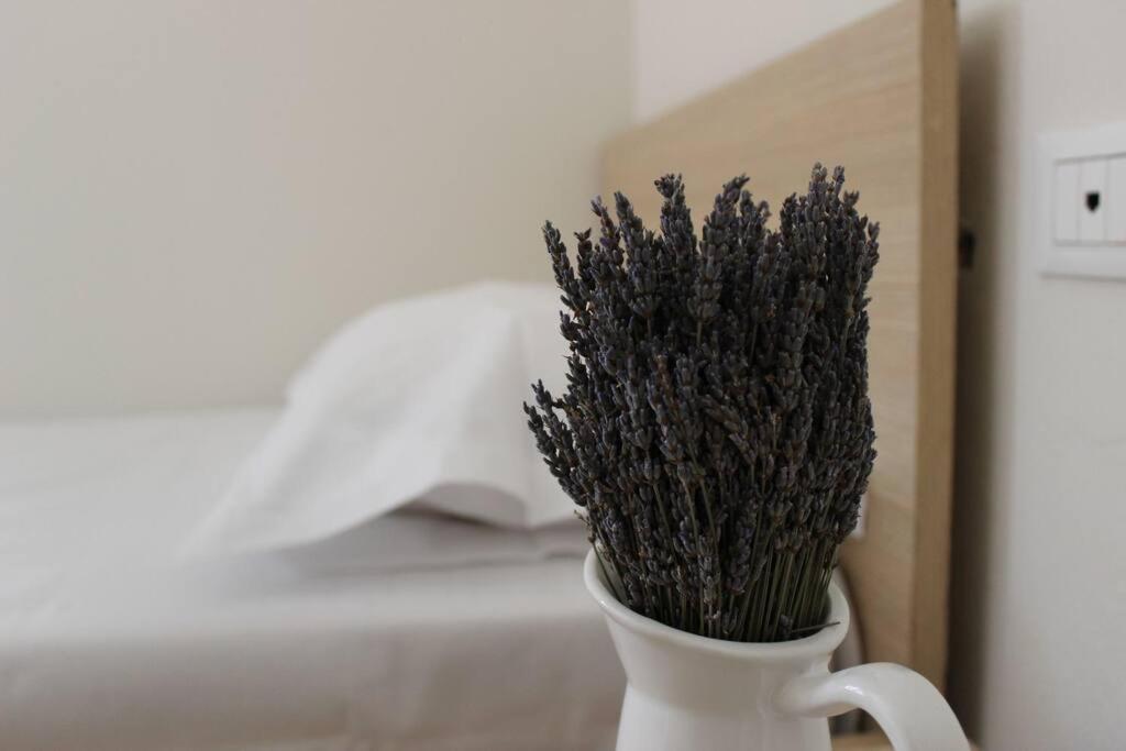 Lavandula Ring Tirana Exteriér fotografie